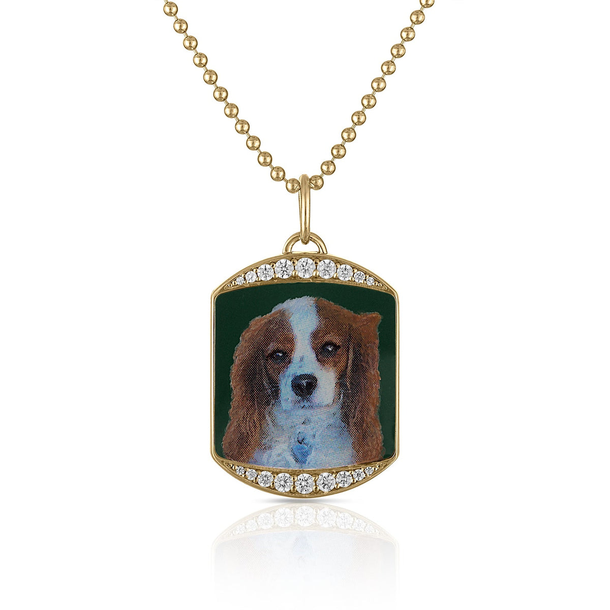 FETCH - Customizable