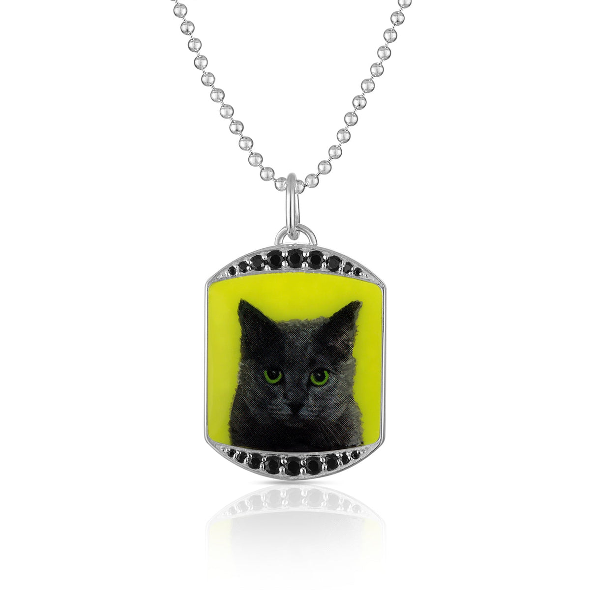 FETCH - Customizable