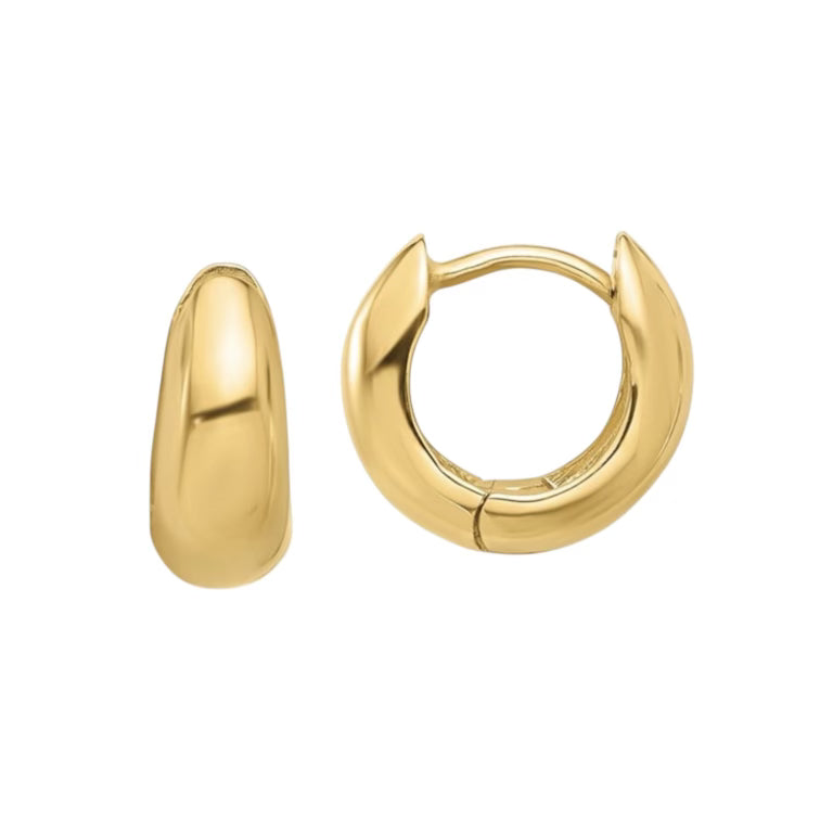 Hinged Hoop Earrings