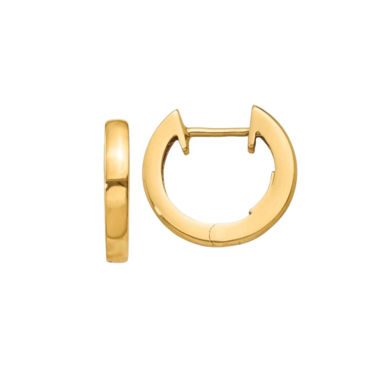 Hinged Hoop Earrings