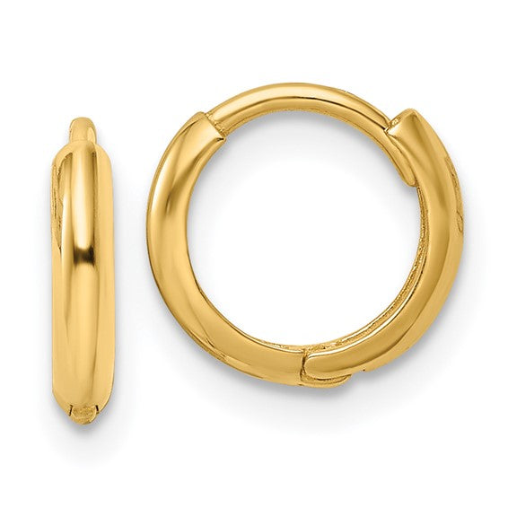 Round Hinged Hoop Earrings