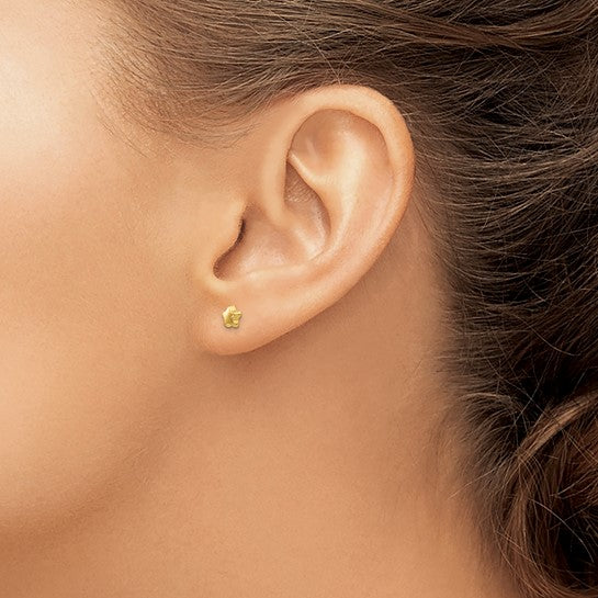 Small Star Post Earring