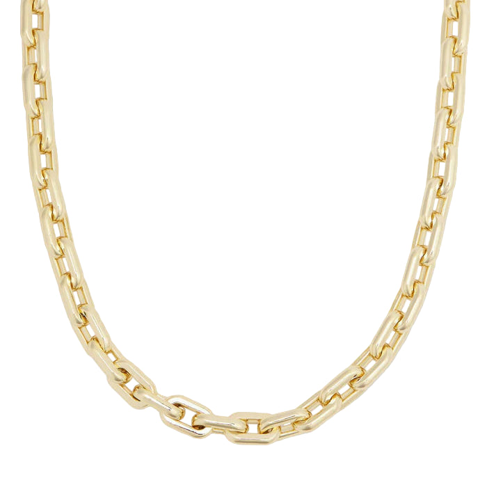 Frankie Chain Necklace 16"